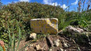 A stone that reads "Respect Land" in front of a bush