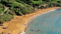 A sandy beach side with greenery on top