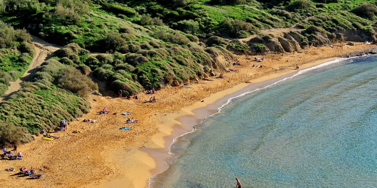 A sandy beach side with greenery on top