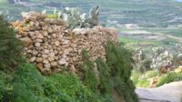 A stone wall made with small rock and meditteranean vegetation in Gozo