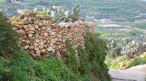 A stone wall made with small rock and meditteranean vegetation in Gozo