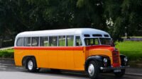 Orange, red and white old bus in front of a green courtyard.