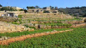 The outskirts of Malta with greenery in the forefront and old rural buildings in the background