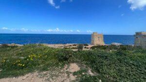 A field of low Mediterranean vegetation with a few simple buildings sprinkled here and there and a saturated blue sea at the horizon