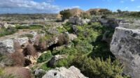 A relief of stone and rock with Mediterranean vegetation sprinkled in between