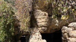 Parts of a cave with a wall of small stones and a garland of vegetation draped over the top