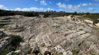 A geometrical pattern almost too regular to be made by natural causes carved in the stone floor, the Cart Ruts