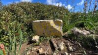 A stone that reads "Respect Land" in front of a bush