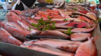 Fresh fish displayed on a stall at a farmer's market